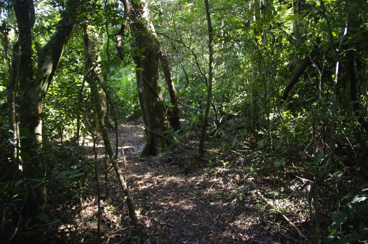 Nafre House B&B Monteverde Buitenkant foto